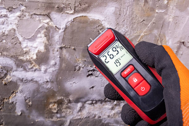 Best Best Mold Removal Companies  in Park Hills, MO