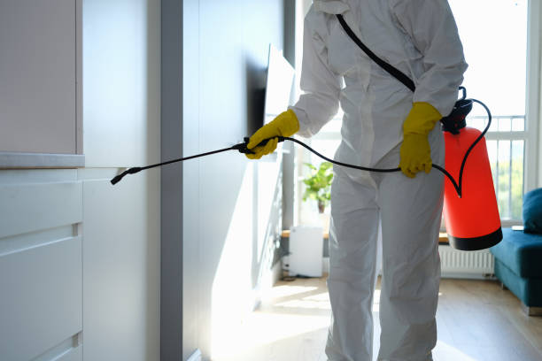 Mold Testing and Removal in Park Hills, MO