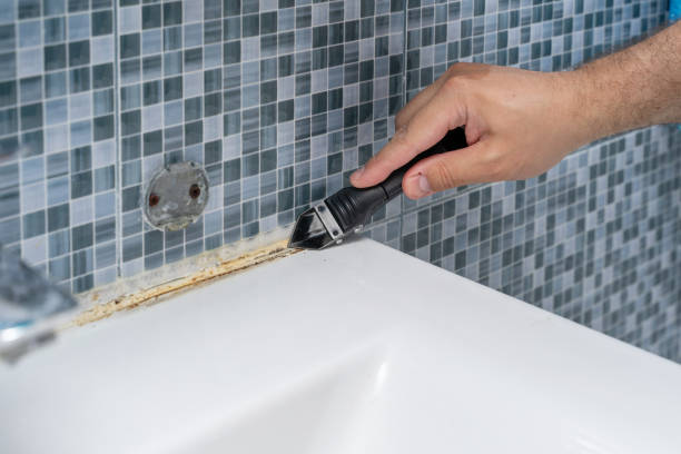 Best Emergency Mold Removal  in Park Hills, MO