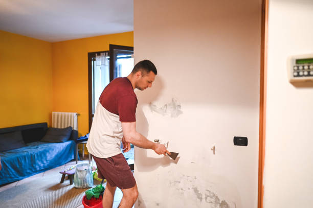 Best Local Mold Removal Service  in Park Hills, MO